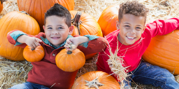 Fall Fundraiser Planning: Ideas & Tips for Groups of Any Size