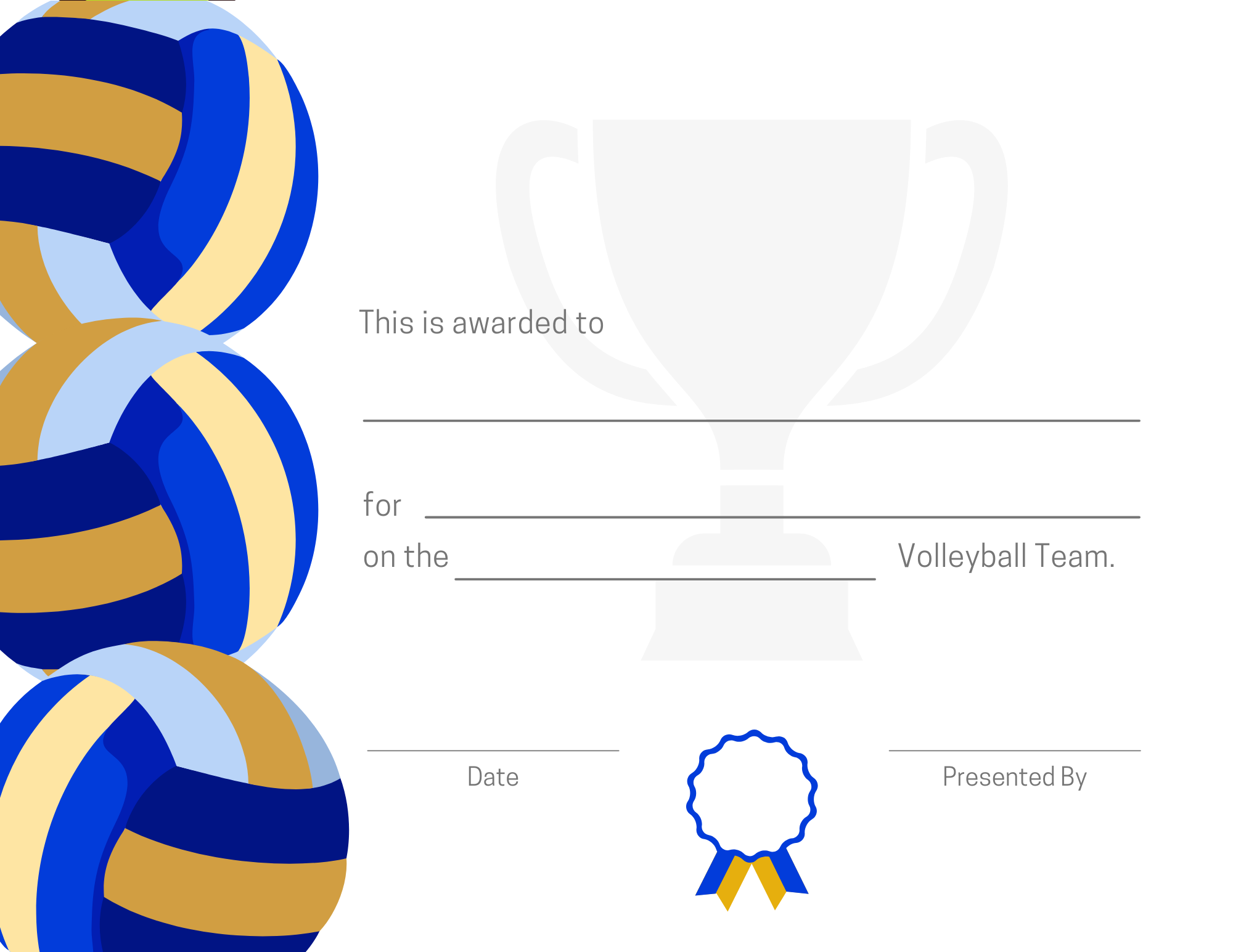 volleyball certificate